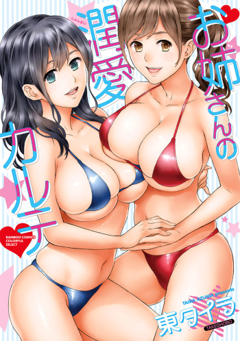 [Azuma Taira] Onee-san no Junai Karte [English] [Lazarus H] [Digital] cover