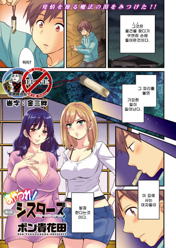 [Pon Takahanada] Ayatsure! Sisters Ch. 1 (Action Pizazz 2017-04) [Korean] [狂帝韩化组] [Digital] cover