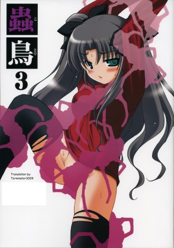 (Comic Castle 2006) [Abarenbow Tengu (Izumi Yuujiro)] Kotori 3 (Fate/stay night) [German] [vanillatranslations.wordpress.com] cover