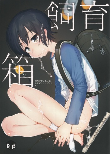 (SPARK11) [Sugahouse (Sugayama)] Shiiku Bako (Boku Dake ga Inai Machi) cover