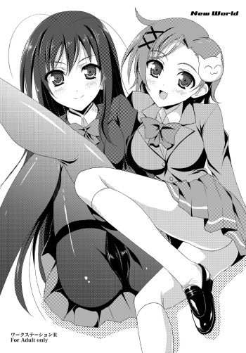 [Workstation R (Rakkyo)] New World (Accel World) [English] {Hennojin} [Digital] cover