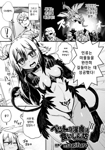 [magifuro] Pet na Inma wa Kuishinbou (Kiguzeme Kairaku de Monzetsu Zecchou Vol. 3) [Korean] [Digital] cover
