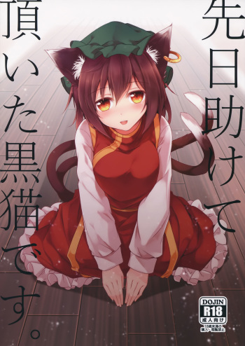 (Yakumo no Himitsu Kichi) [Midorineko (Midori)] Senjitsu Tasukete Itadaita Kuroneko desu. | I'm the Black Cat You Helped Out the Other Day. (Touhou Project) [English] [L-san] cover