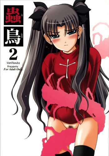 (C69) [Abarenbow Tengu (Yujiro Izumi)] Kotori 2 (Fate/stay night) [German] [vanillatranslations.wordpress.com] cover