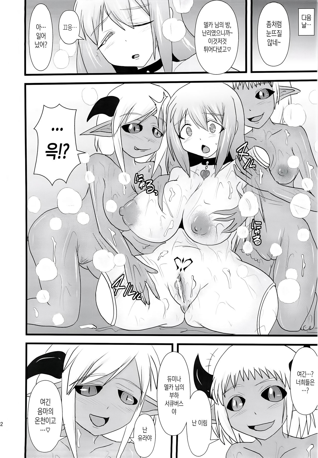 Shield Knight Elsain Vol. 14 "Succubus Ritual" page 11 full