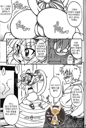 (C81) [Mayoineko (Nakagami Takashi)] Nekotama | 네코타마 (Kemokko Lovers 2) [Korean] [팀 메이드캣] cover