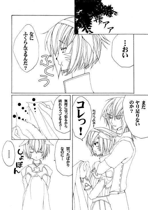 エル♂xミスラ page 12 full