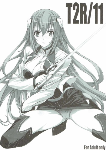 (SC2017 Winter) [BRIEST (Yatsushima Tetsuya)] T2R/11 (Various) cover