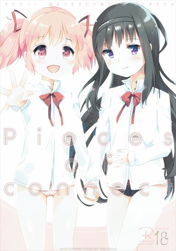 (C90) [Sudachic (Shiono Maki)] Pieces of connect (Puella Magi Madoka Magica) cover