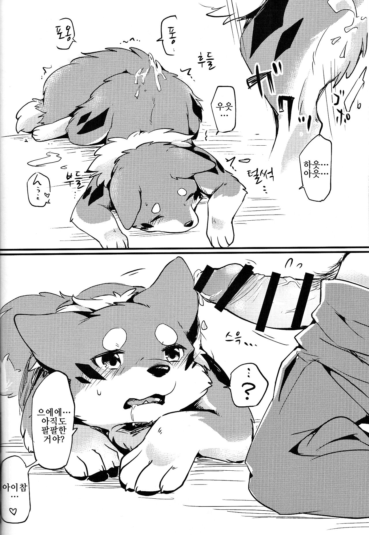 Kitsuneinu to Asobo!! | 여우개 랑 놀자앗!! page 11 full