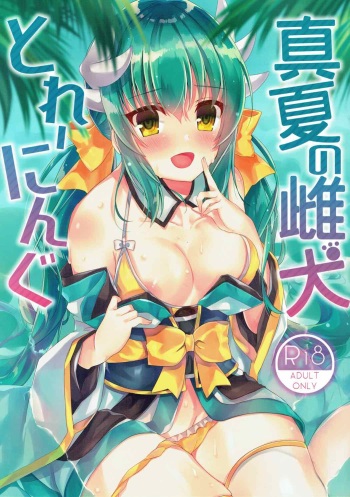 (C92) [Lolli*PoP (Nanahachi)] Manatsu no Mesuinu Training (Fate/Grand Order) cover