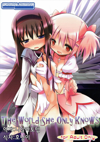 (C80) [Furaipan Daimaou (Chouchin Ankou)] THE WORLD SHE ONLY KNOWS (Puella Magi Madoka Magica) [Korean] cover