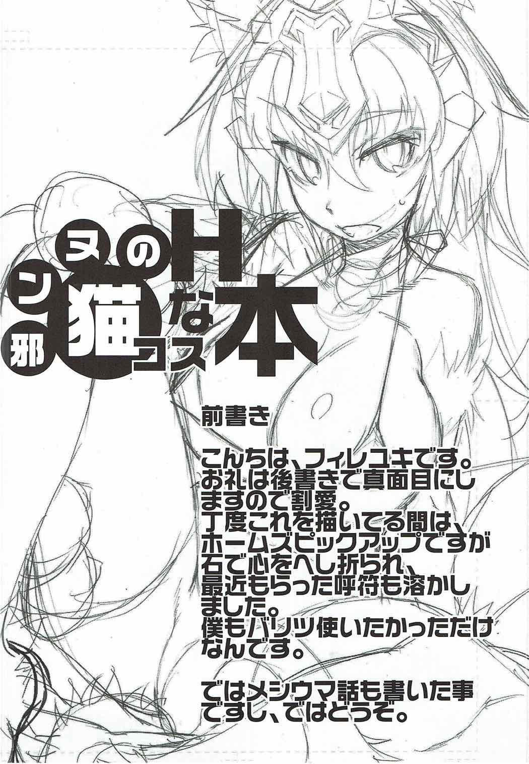 Jeanne no Neko Cos H na Hon page 3 full