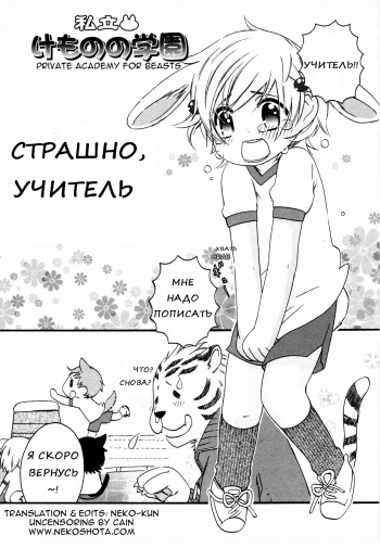[nicoco] Shiritsu Kemono Gakuen Kowai Sensei | Страшно, Учитель (Kodomo no Shippo 2) [Russian] [Nakamori] [Decensored] cover