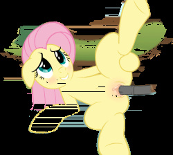 100% Fluttershy Gif Edition