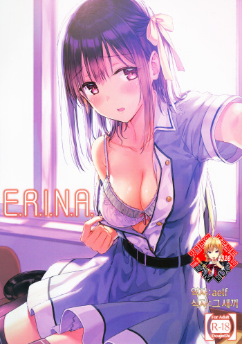 (C92) [HitenKei (Hiten)] E.R.I.N.A. [Korean] [Team Edge] cover