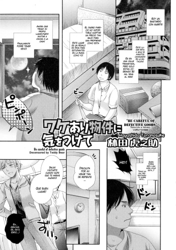 [Hayashida Toranosuke] Wakeari Bukken ni Ki o Tsukete | Be careful of defective goods (Nyotaika Dynamites!) [Spanish] [VarKatzas666] [Decensored] cover