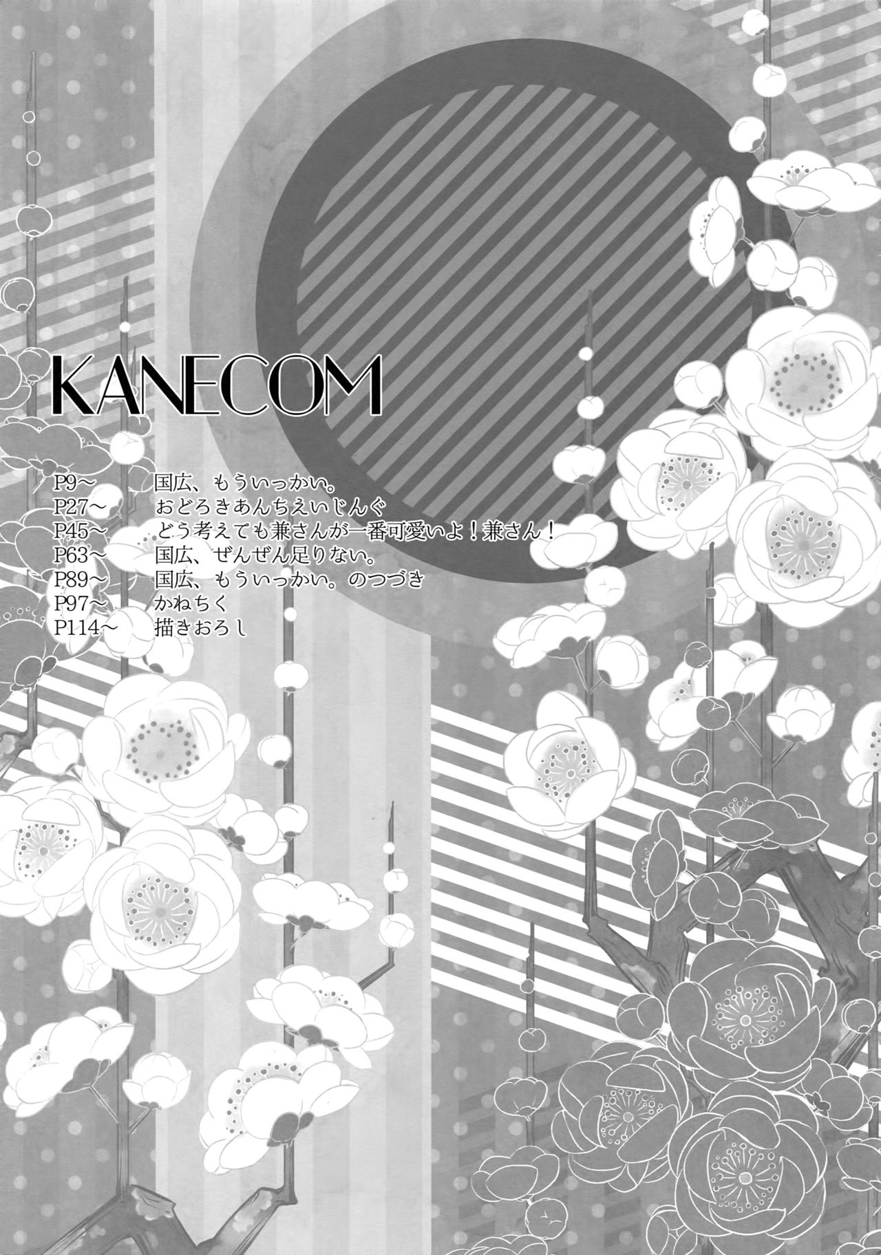 KANECOM page 6 full