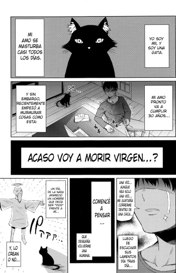 [Nagaikusa] Ningen ni Natta Neko | La Gata Que Se Volvió Humana (COMIC Penguin Club Sanzokuban 2016-07) [Spanish] [kalock] cover
