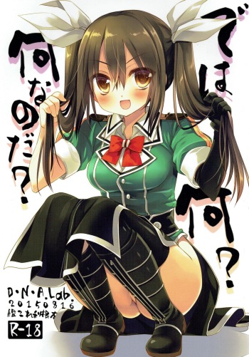 (C88) [D.N.A.Lab. (Miyasu Risa)] Dewa Nani? Nanina Noda? (Kantai Collection -KanColle-) cover