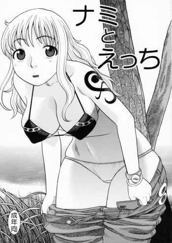 [Studio Wallaby (Niiruma Kenji)] Nami to Ecchi (One Piece) cover
