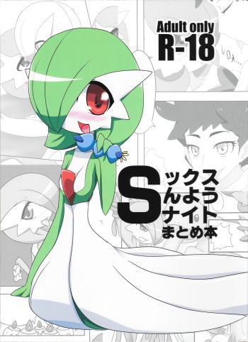 (C87) [Origami Farm (Nei Chi)] S-x S-nyou S-Night Matome Bon (Pokémon) cover