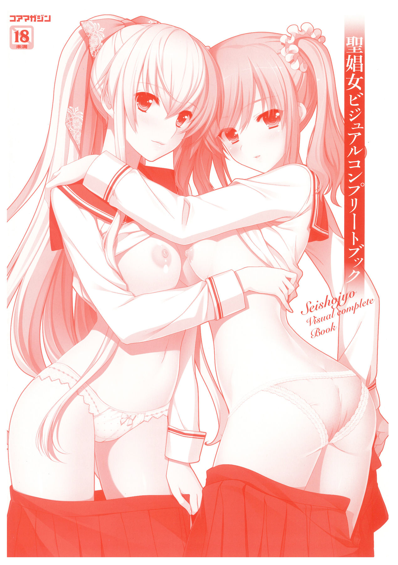 Seishojyo Visual Complete Book page 2 full