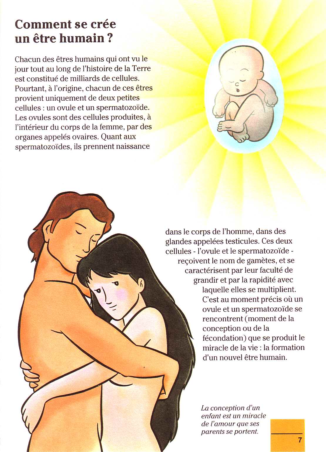 il etait un fois la vie - la naissance 1 page 7 full