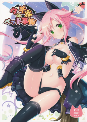 (C91) [Animal Herb (Yano Mitsuki)] Uchi no Pet Jijou 4 cover