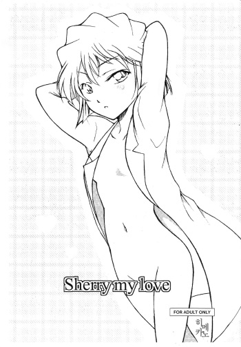 (C88) [OTOHIMEDOU (Otumaru)] Sherry my love | 명탐정코난 (Meitantei Conan) [Korean] cover