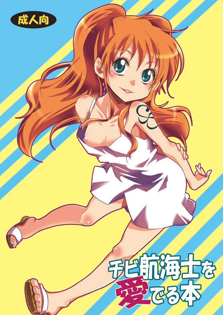 Chibi Koukaishi o Mederu Hon | Tiny Navigator Appreciation Book page 1 full
