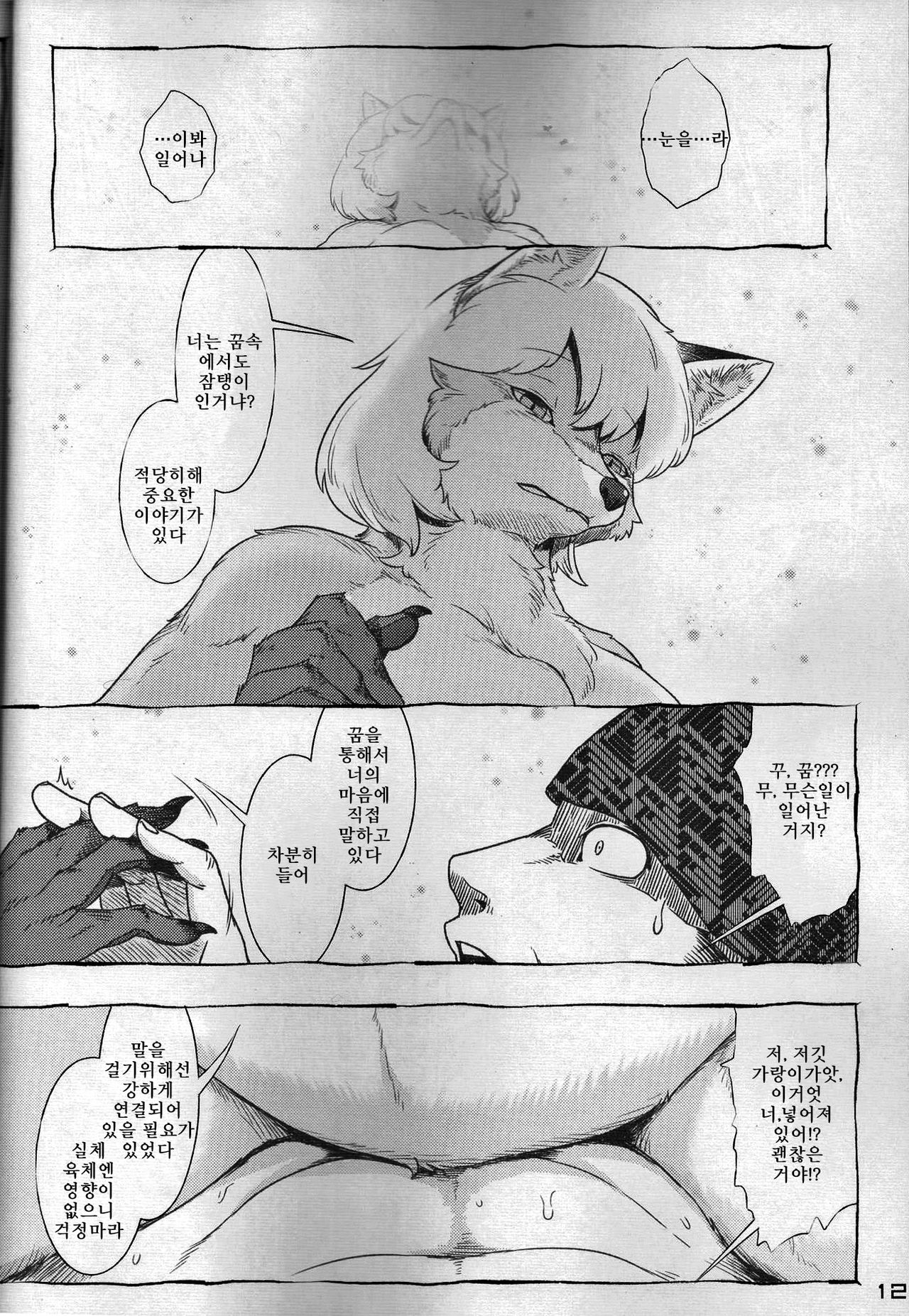 Touhou PLUMFUR FINAL | 잘자요 케모보테 page 11 full