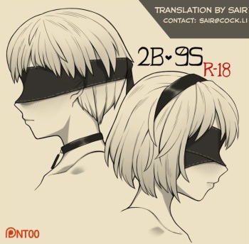 [NT00] 2B 9S (Nier:Automata) [Russian] [DEN_SEL] cover
