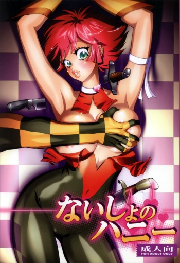 (COMIC1☆3) [Human High-Light Film (Shiosaba)] Naisho no Honey (Cutey Honey) cover