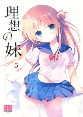 [INS-mode (Amanagi Seiji)] Risou no Imouto 5 [English] [biribiri] [2017-08] cover