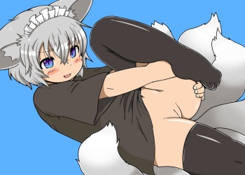 [Aizawa Shin] Shippo ga Ooi-san no Hon 1 cover