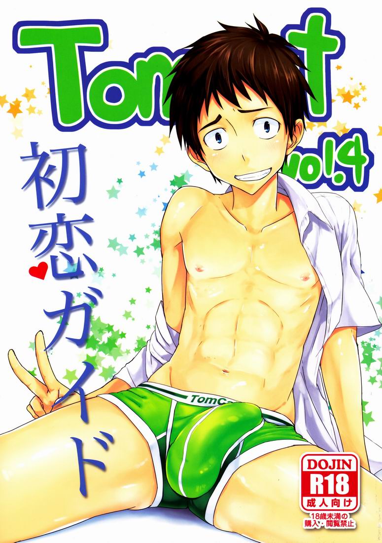 Hatsukoi Guide page 1 full