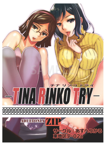 (C88) [Aspherical (Zip)] TINA RINKO TRY (Gundam Build Fighters) [Sample] cover