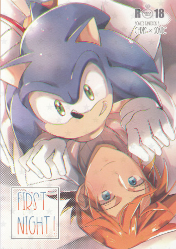 (GOOD COMIC CITY 24) [Star Peace (Mikan)] FIRST NIGHT!! (Sonic the Hedgehog) cover