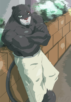 Fairy tail: Panther lily and friends