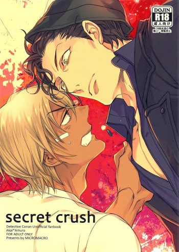 (C90) [MICROMACRO (Saco)] secret crush (Detective Conan) cover