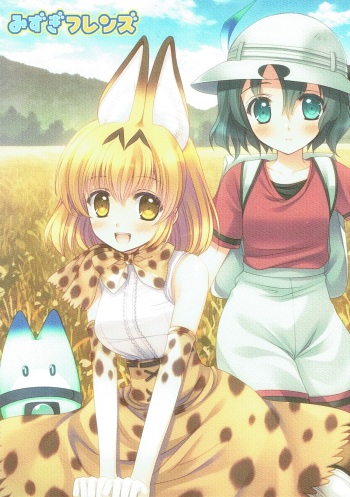 (C92) [JOKER TYPE (Nishimata Aoi)] Mizugi Friends (Kemono Friends) cover
