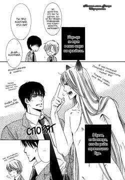 Neko Mata | Кошачья мята