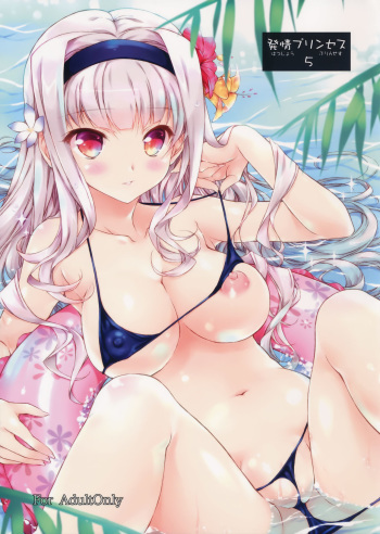 (C86) [KONOHA (Hotei Kazuha)] Hatsujou Princess 5 (THE iDOLM@STER) cover