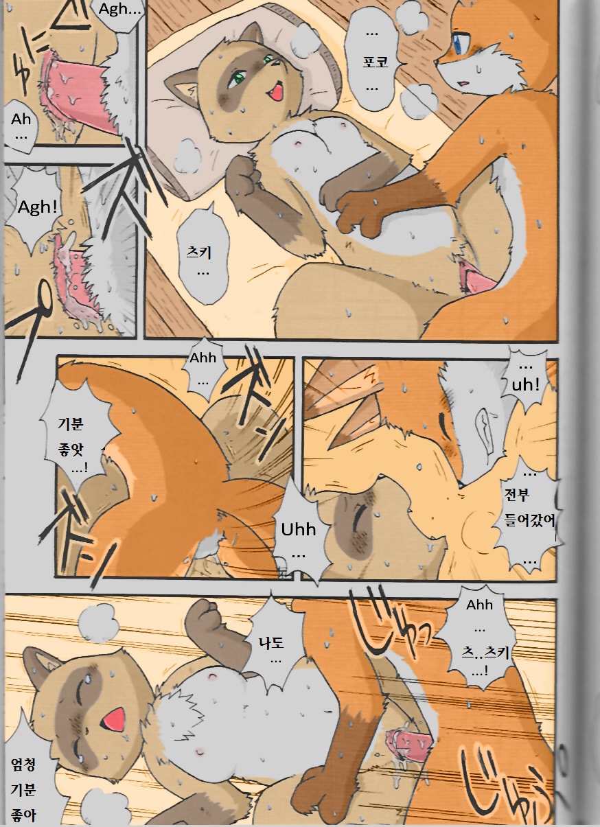 Yukiguni Jouji | 겨울의 사랑이야기 page 11 full