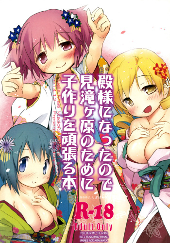 (C87) [Tanpopo (Anshin Mama)] Tono-sama ni Natta no de Mitakihara no Tame ni Kozukuri o Ganbaru Hon (Puella Magi Madoka Magica) [English] [biribiri] cover