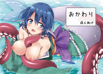 [Shukketsu Kansatsu Nikki (HemoglobinA1C)] おかわり (Touhou Project) [Digital] cover