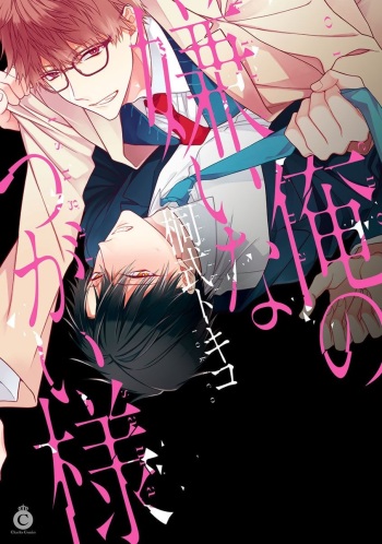 [Kirishiki Tokico] Ore no Kirai na Tsugaisama [Digital] cover