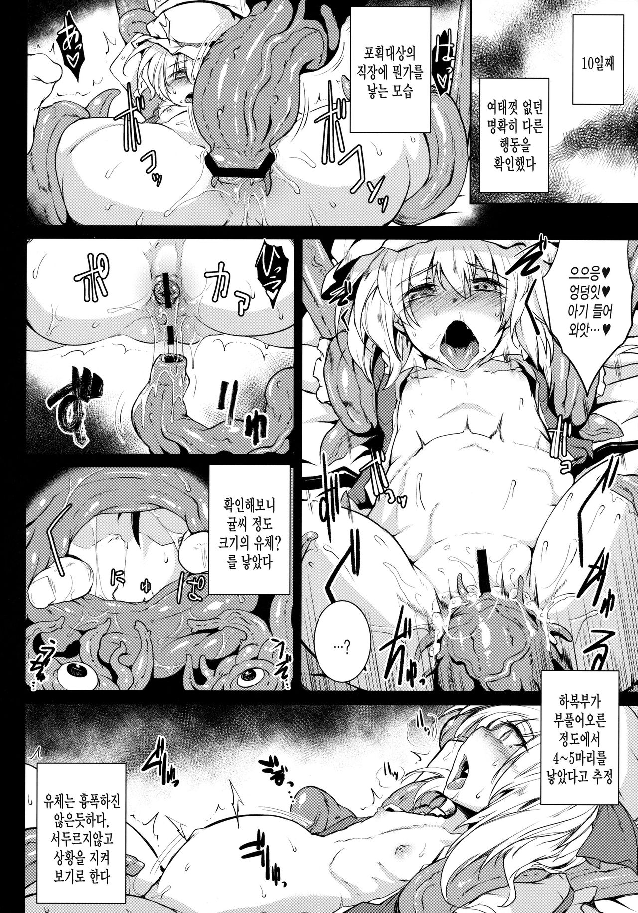 Gensou Enkou -Flandre- Shoku page 11 full