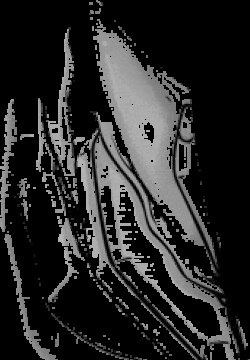 Love Genie - 3 - TLC